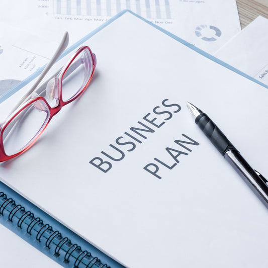 Business Plan Development
